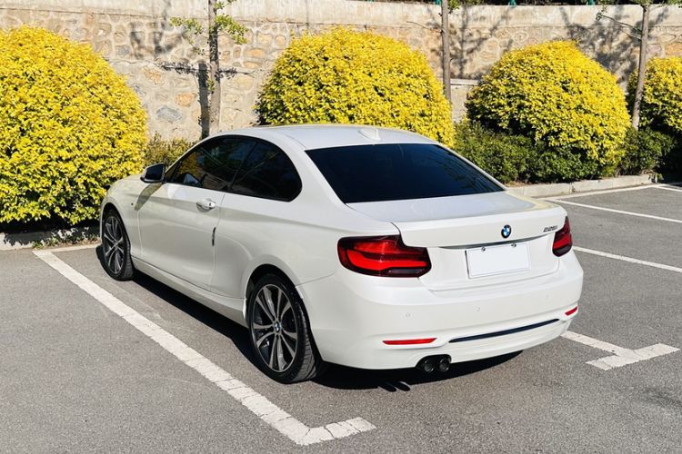 Used BMW 2 Series 2019 225i Sport Design Package Exterior 4