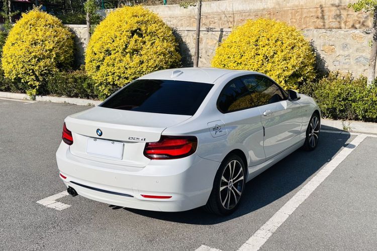 Used BMW 2 Series 2019 225i Sport Design Package Exterior 5