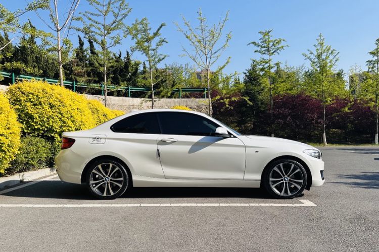 Used BMW 2 Series 2019 225i Sport Design Package Exterior 6