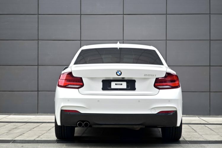 Used BMW 2 Series 2019 225i Luxury Model with M Sport Package Exterior 9
