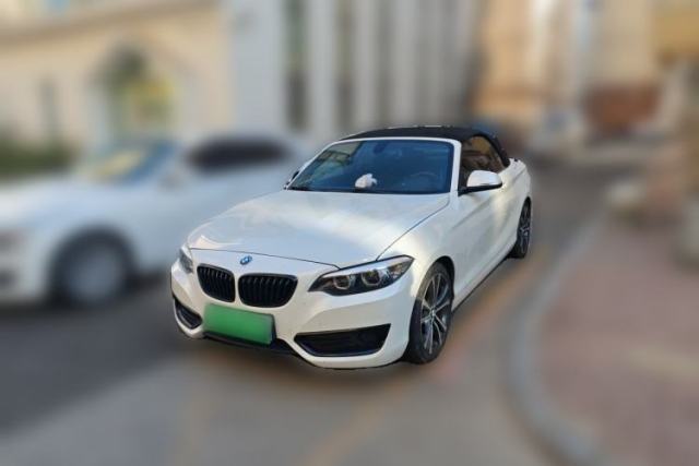 Used BMW 2 Series 2019 225i Convertible Coupe Sports Design Package