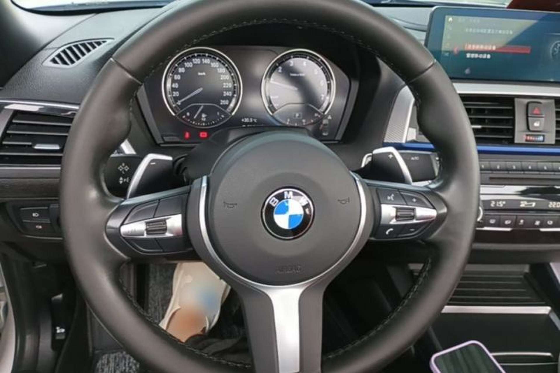 Used BMW 2 Series 2019 225i Convertible Coupe Luxury Edition M Sport Package Steering Wheel