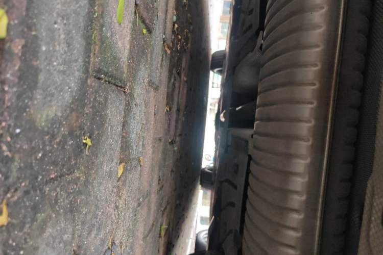 Used BMW 2 Series 2021 225i 4-Door Coupe M Sport Package Chassis Rear