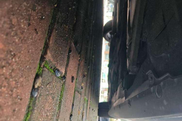 Used BMW 2 Series 2021 225i 4-Door Coupe M Sport Package Chassis Rear Right