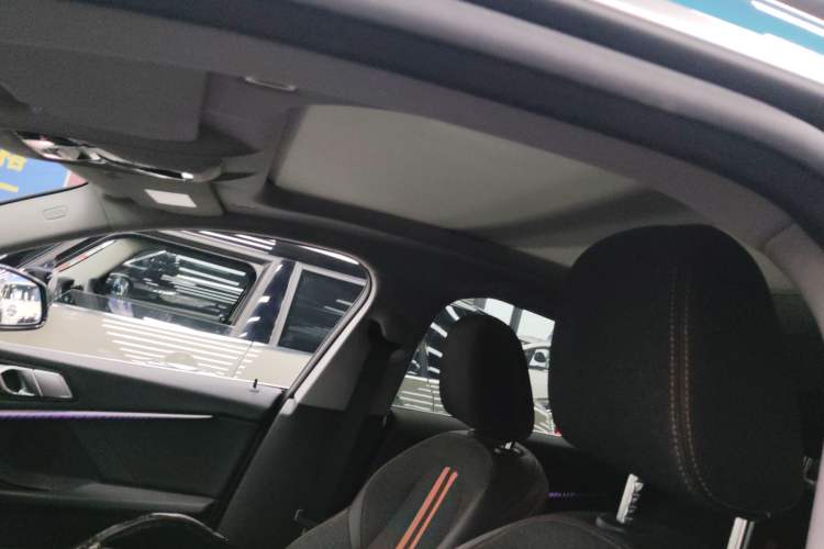 Used BMW 2 Series 2021 225i 4-Door Coupe M Sport Package Headliner