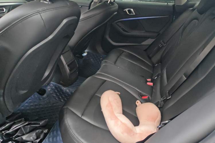 Used BMW 2 Series 2021 225i 4-Door Coupe M Sport Package Left Rear Seat
