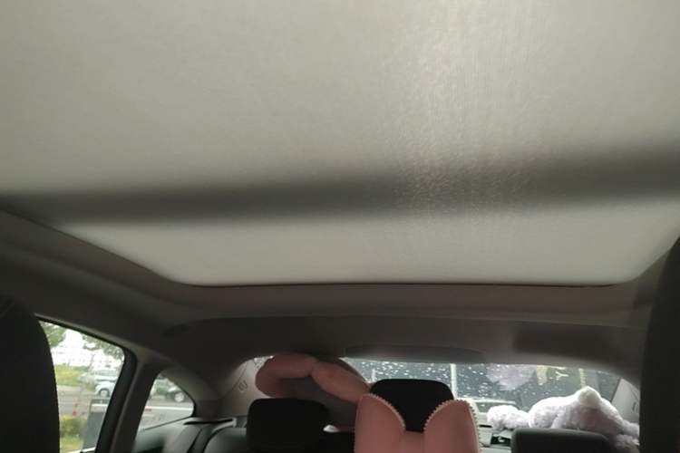 Used BMW 2 Series 2021 225i 4-Door Coupe M Sport Package Headliner