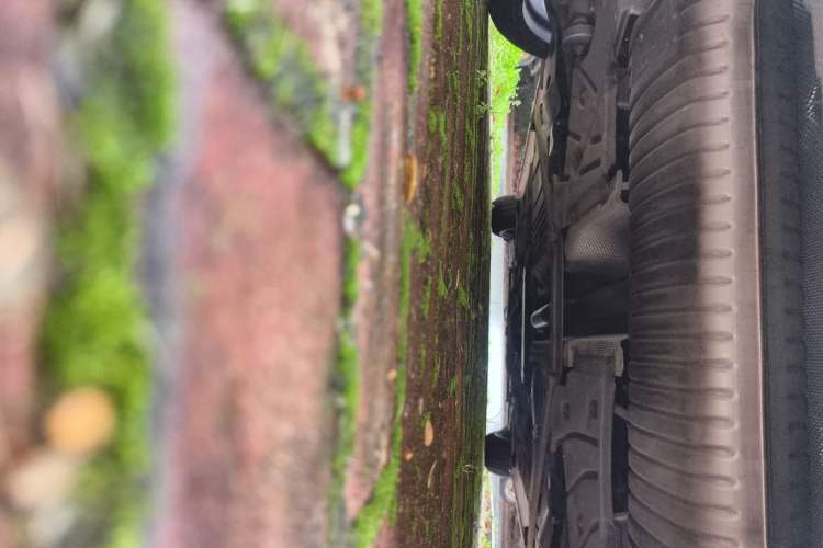 Used BMW 2 Series 2021 225i 4-Door Coupe M Sport Package Chassis Rear
