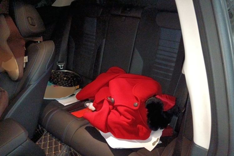 Used BMW 2 Series 2022 225i M Sport Night Edition Left Rear Seat