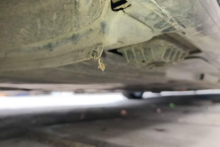 Used BMW 2 Series 2023 M240i Chassis Rear Right
