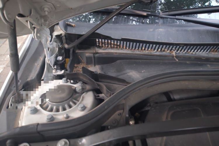 Used BMW 2 Series 2023 225i Four-Door Coupe M Sport Package Engine Bay Right