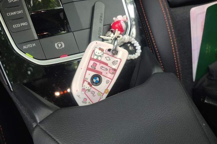 Used BMW 2 Series 2023 225i Four-Door Coupe M Sport Package Vehicle Key