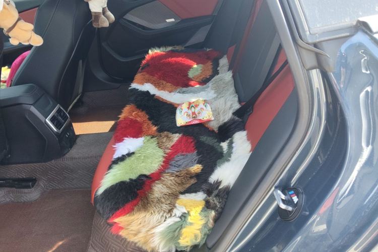 Used BMW 2 Series 2025 225L M Sport Package Left Rear Seat