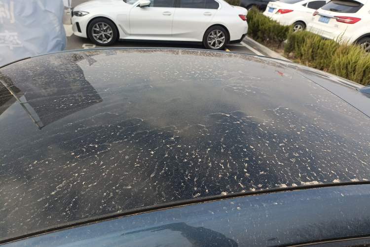 Used BMW 2 Series 2025 225L M Sport Night Edition Package Roof