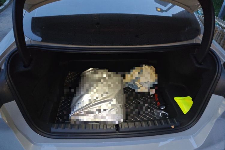 Used BMW 2 Series 2025 225L M Sport Night Edition Package Trunk