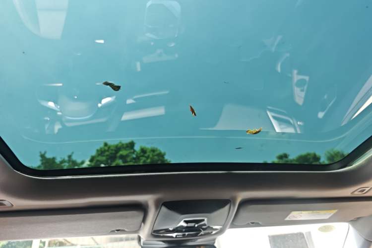 Used BMW 2 Series 2025 225L M Sport Package Headliner