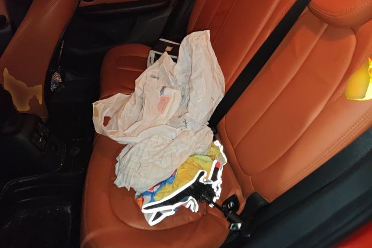Used BMW 2 Series Active Tourer 2016 218i Leading Model Left Rear Seat