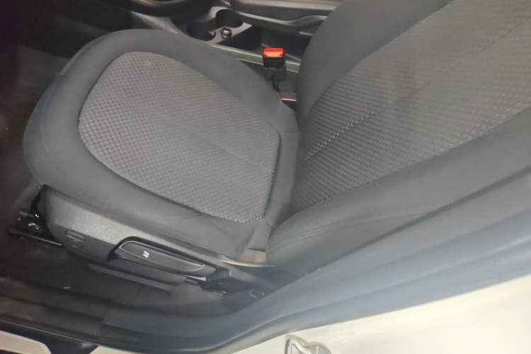 Used BMW 2 Series Active Tourer 2016 218i Fashion Model Left Front Seat