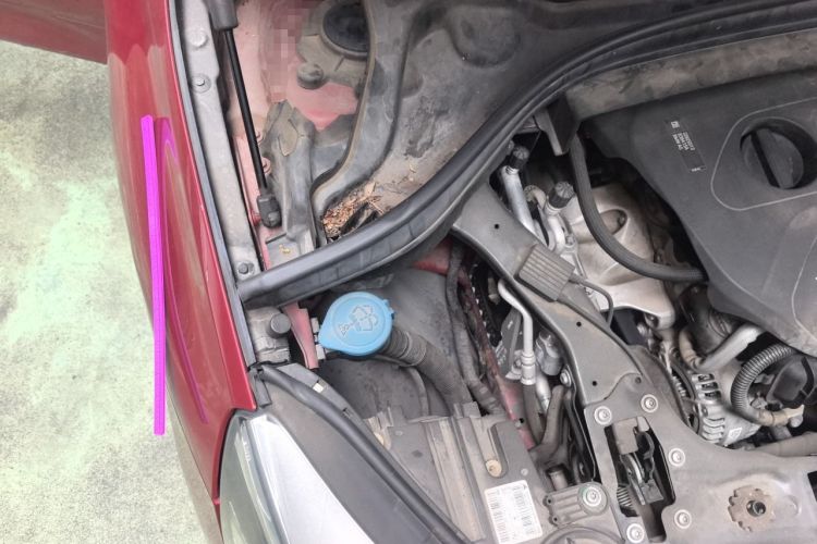 Used BMW 2 Series Gran Tourer 2015 218i Leading Model Engine Bay Right