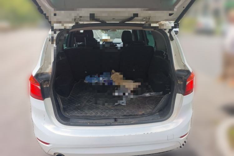 Used BMW 2 Series Gran Tourer 2015 218i Leading Model Trunk