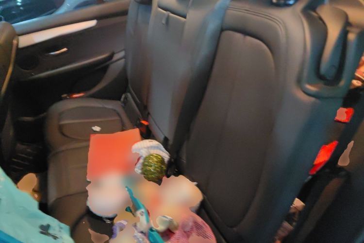 Used BMW 2 Series Gran Tourer 2018 220i Leading Model Left Rear Seat