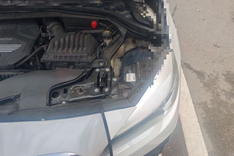 Used BMW 2 Series Gran Tourer 2018 220i Leading Model Engine Bay Left