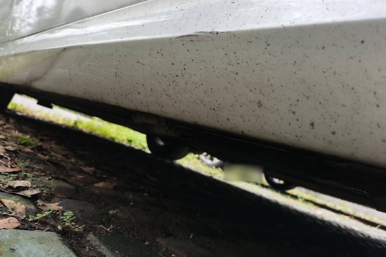 Used BMW 3 Series 2009 320i Sport Edition Chassis Front Right