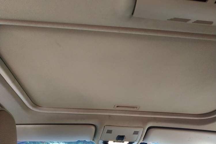 Used BMW 3 Series 2009 320i Luxury Edition Headliner