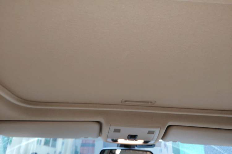 Used BMW 3 Series 2010 320i Luxury Model Headliner