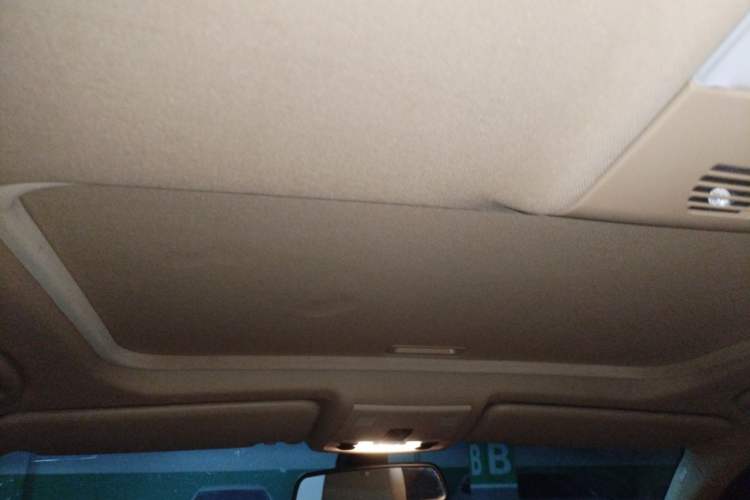 Used BMW 3 Series 2010 320i Luxury Model Headliner