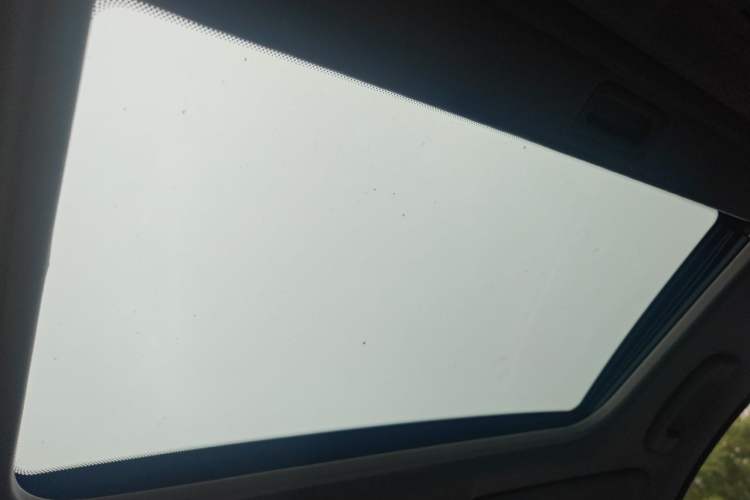 Used BMW 3 Series 2010 320i Luxury Model Headliner