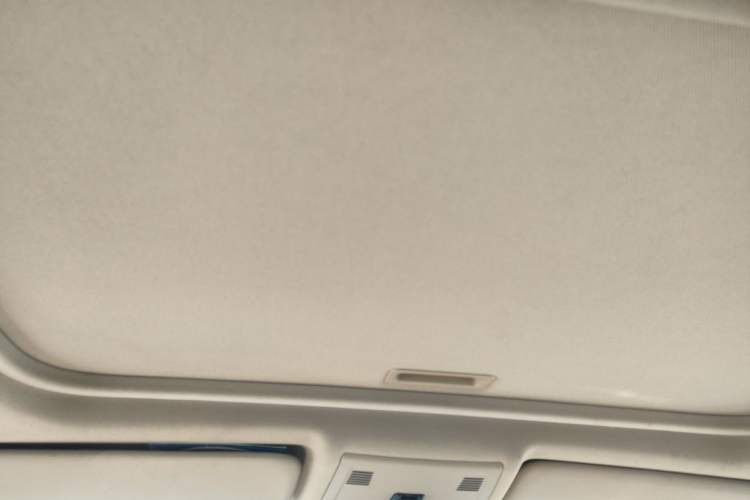 Used BMW 3 Series 2010 320i Luxury Model Headliner