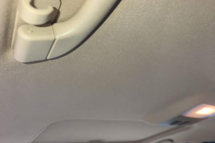 Used BMW 3 Series 2010 320i Luxury Model Headliner