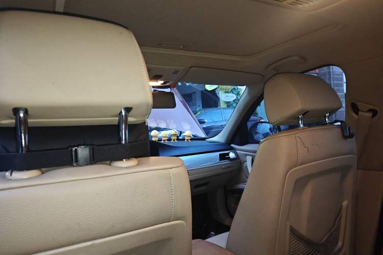 Used BMW 3 Series 2010 320i Luxury Model Headliner