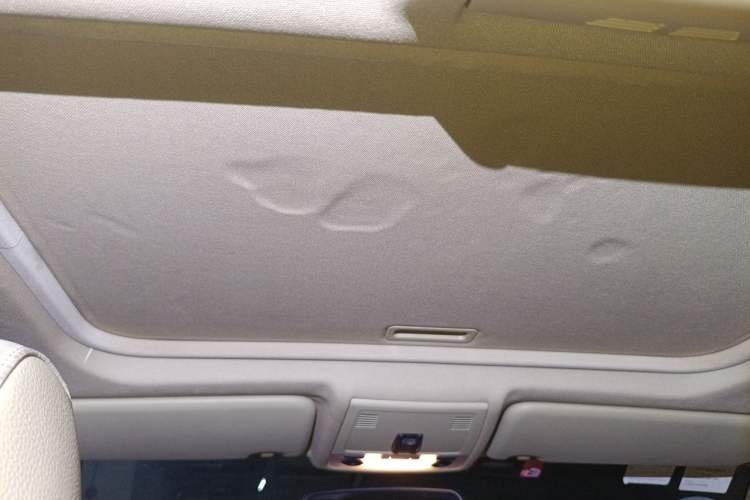 Used BMW 3 Series 2010 320i Luxury Model Headliner