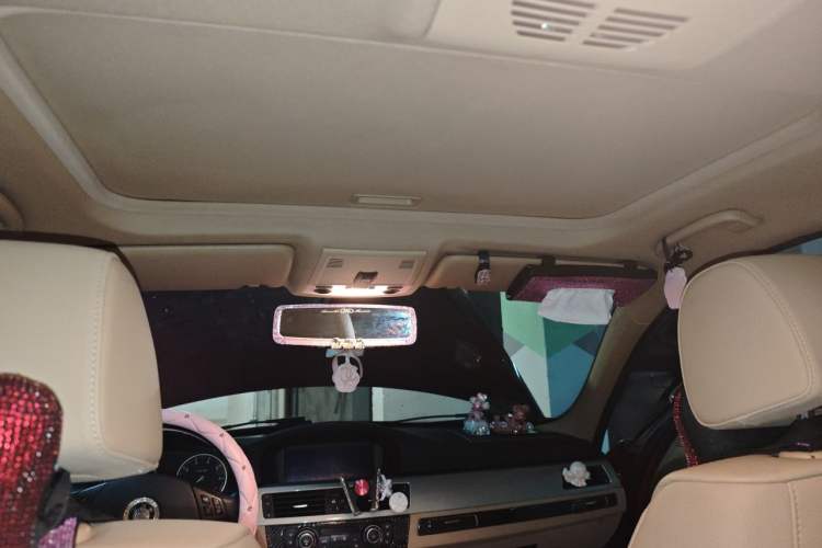 Used BMW 3 Series 2010 320i Luxury Model Headliner