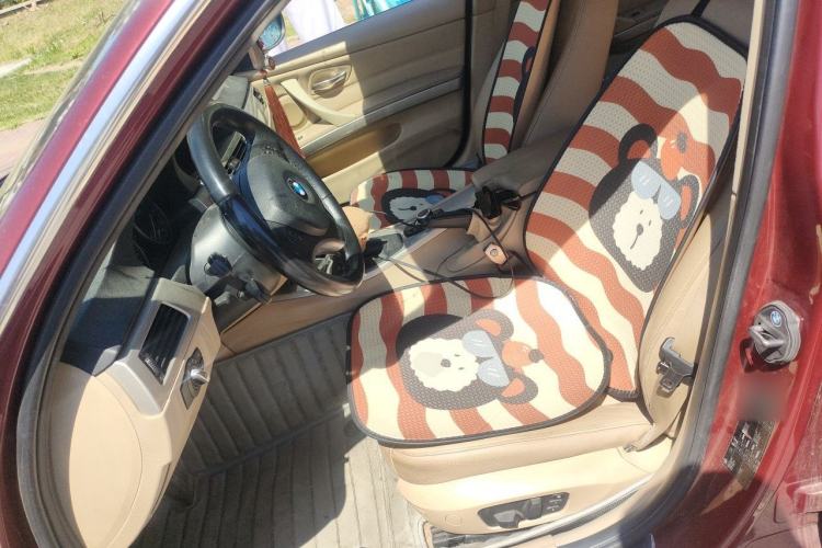 Used BMW 3 Series 2010 320i Luxury Model Left Front Seat