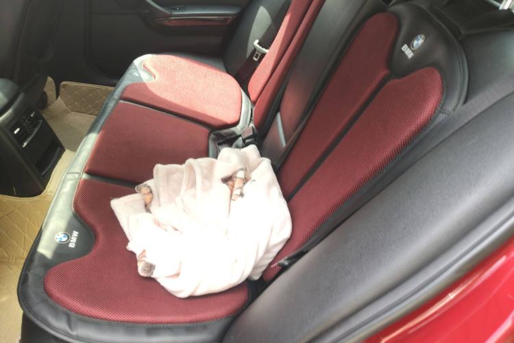 Used BMW 3 Series 2010 320i Luxury Model Left Rear Seat