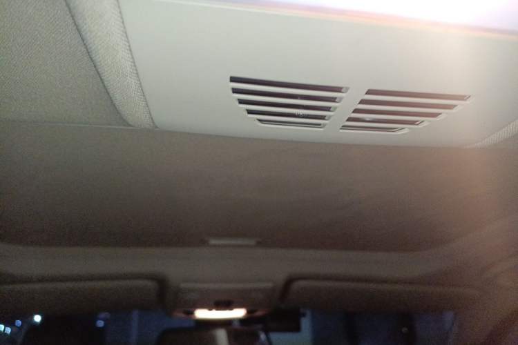Used BMW 3 Series 2010 320i Luxury Model Headliner