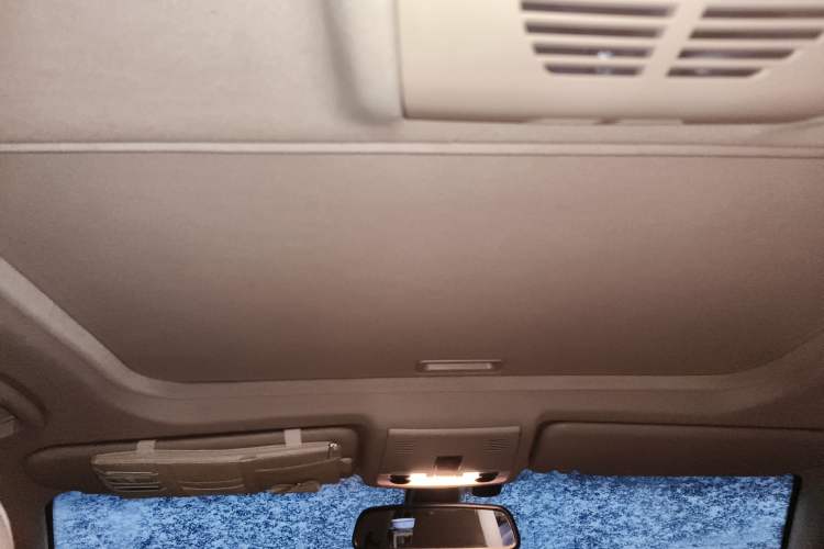 Used BMW 3 Series 2010 320i Luxury Model Headliner