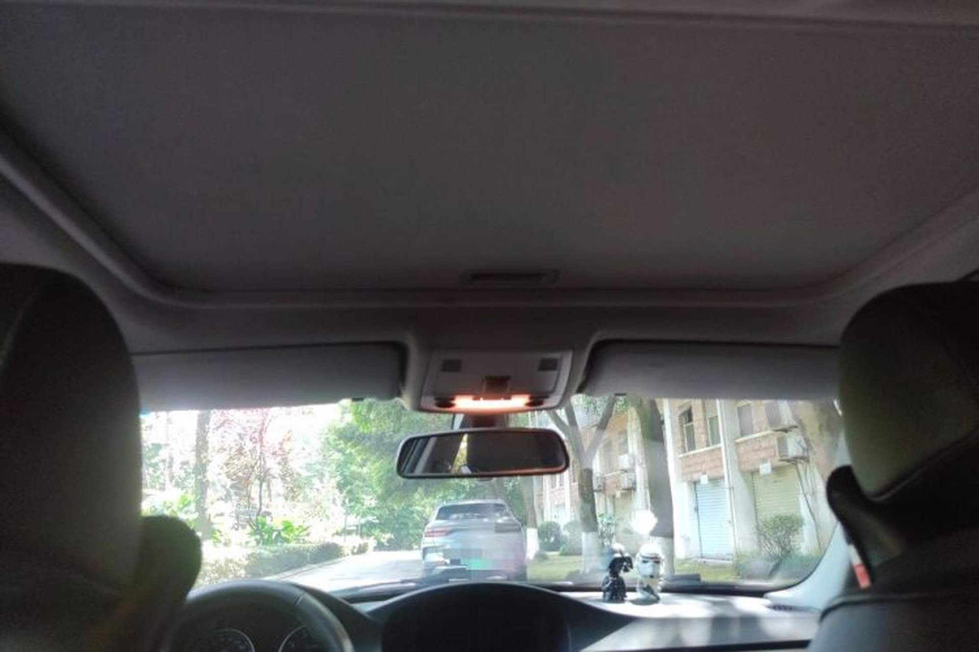 Used BMW 3 Series 2010 320i Luxury Model Headliner