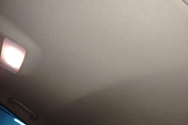 Used BMW 3 Series 2010 320i Luxury Model Headliner