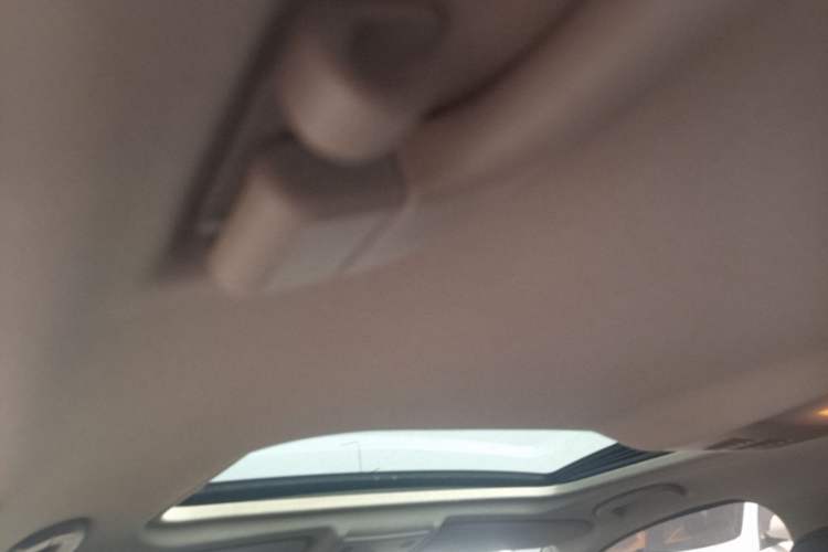 Used BMW 3 Series 2010 320i Luxury Model Headliner