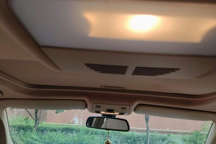 Used BMW 3 Series 2010 320i Luxury Model Headliner