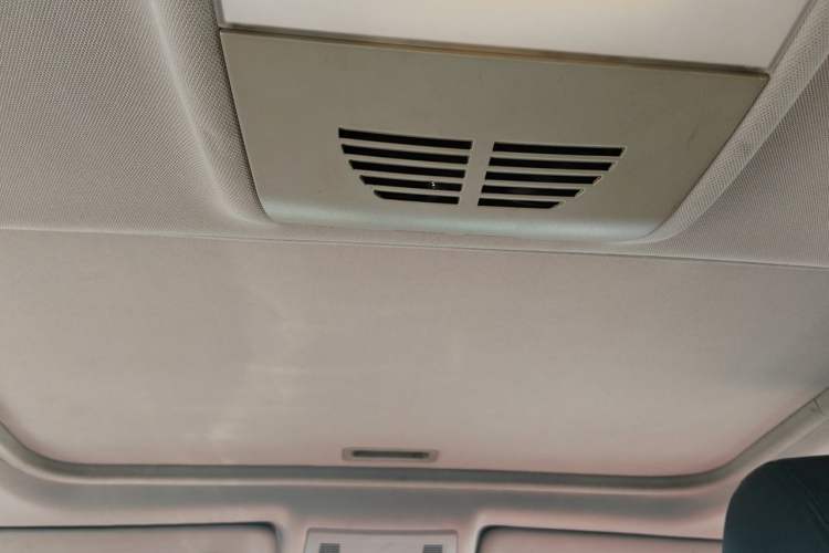 Used BMW 3 Series 2010 320i Luxury Model Headliner