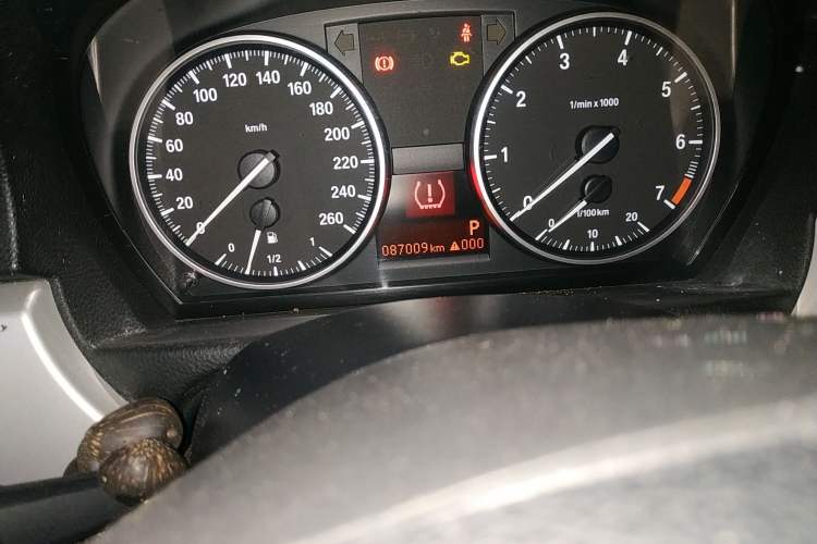 Used BMW 3 Series 2010 318i Leading Model Odometer Close Up