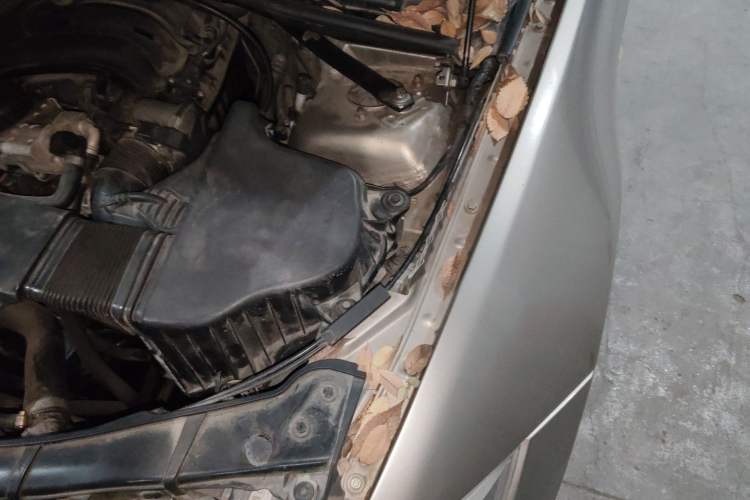 Used BMW 3 Series 2011 320i Sport Edition Engine Bay Left