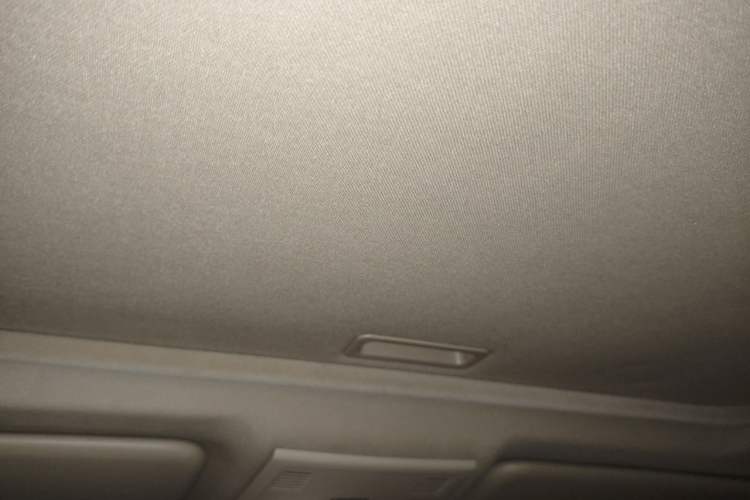 Used BMW 3 Series 2011 320i Luxury Edition Headliner