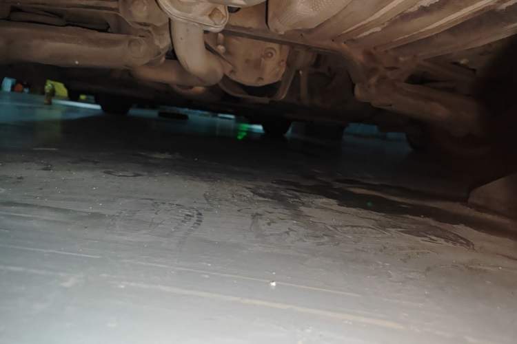 Used BMW 3 Series 2011 320i Sport Edition Chassis Rear