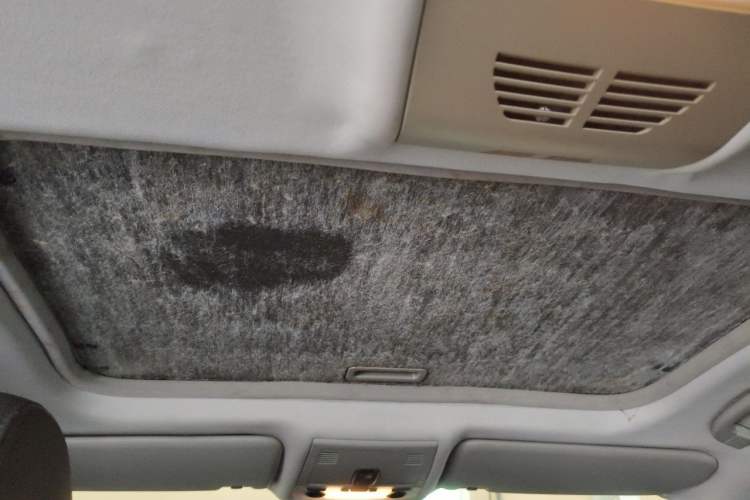 Used BMW 3 Series 2011 318i Leading Model Headliner